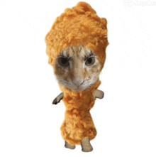 a cat wearing a chicken nugget costume with a wig on its head