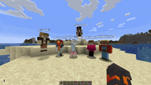 Villager Utopia Minecraft Friends GIF