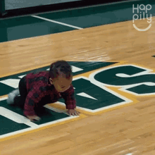 a baby is crawling on a basketball court in front of a sign that says hcs