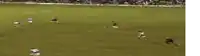 a blurry picture of a soccer game with a barclays ad