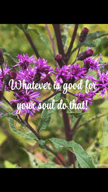 a plant with purple flowers and a quote that says whatever is good for your soul do that