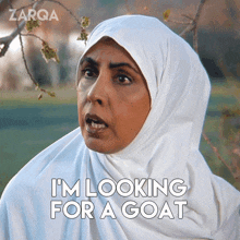 I'M Looking For A Goat Zarqa GIF