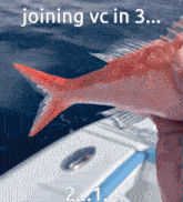 Fish Join Vc GIF