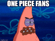 One Piece Fans GIF - One Piece Fans Spongebob GIFs