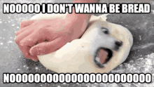 Bread Dog GIF - Bread Dog Dogie GIFs