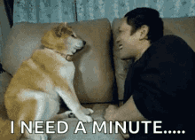 Dogs Puppy GIF - Dogs Puppy Dog GIFs