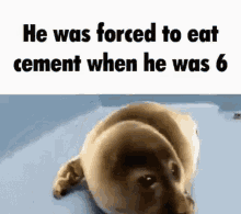 he was forced to eat