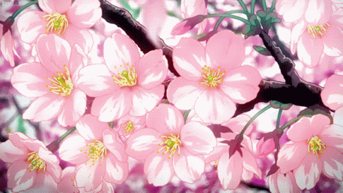 Anime Flower Png - Cherry Blossom Flowers Clip Art Transparent PNG -  1697x2400 - Free Download on NicePNG