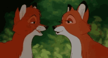 Fox Cute GIF - Fox Cute Couple GIFs