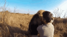 7 GIF - Lion Hug Nature GIFs