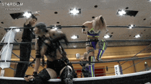 a woman in a wrestling ring with the word stardom on the bottom