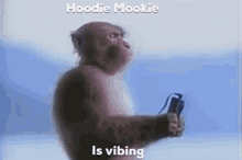 Mookie Monke GIF - Mookie Monke Wookie GIFs