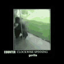 Spinning Gorilla GIF - Spinning Gorilla Reverse GIFs