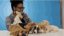 Puppies Buzzfeed GIF