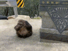 a person is laying on the ground in front of a statue that says ox