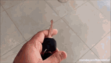 Maruti Suzuki Eeco Eeco GIF - Maruti Suzuki Eeco Eeco Red GIFs