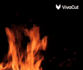 a fire is burning in the dark with a vivacut logo in the corner