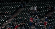 Beer Catch GIF - Beer Catch Baseball GIFs