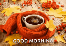 hot coffee coffee scarf maple leaf fall