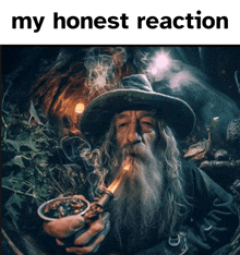 a man with a beard is smoking a pipe with the words my honest reaction below him