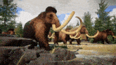 Mammoth Woolly Mammoth GIF - Mammoth Woolly Mammoth Mammuthus GIFs