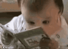Busy Reading GIF