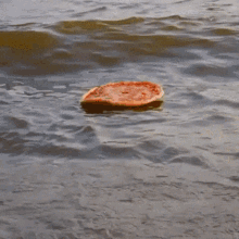 Memes Pizza GIF - Memes Pizza Water GIFs