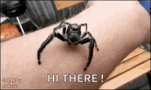 Spider Crawl GIF
