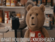 Ted What GIF - Ted What Knobhead GIFs