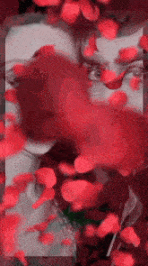 a woman is surrounded by red roses and petals .