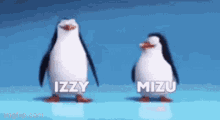 Izzymizu Penguins GIF - Izzymizu Izzy Mizu GIFs