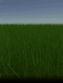 a lush green field of grass with a blue sky in the background
