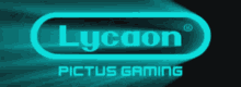 lycaon pictus gaming lyca lycaonpictusg