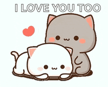 a couple of cats hugging each other with the words `` i love you too '' written on it .