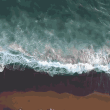 Insignia Beach GIF - Insignia Beach Ocean GIFs