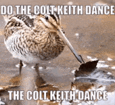 Colt Keith GIF - Colt Keith Detroit GIFs