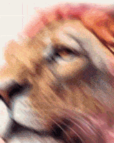a blurry picture of a lion 's face with a white background