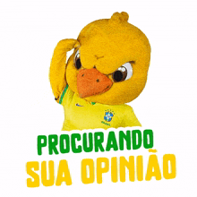 procurando sua opiniao canarinho cbf confedera%C3%A7%C3%A3o brasileira de futebol nao se mete