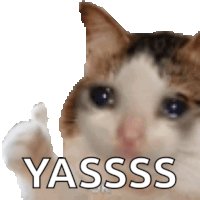 a pixelated image of a cat with the word yasss written on it