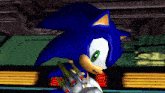 a video game character named sonic the hedgehog is holding a sword