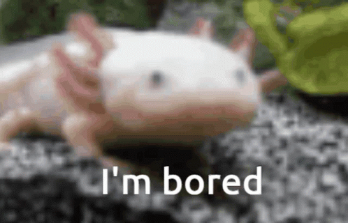 Axolotl Cute GIF - Axolotl Cute Bored - Discover & Share GIFs
