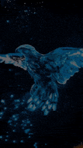 a blue background with a star and the name youcef chaban