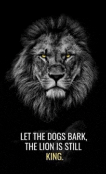 Lion Is Still King Let The Dogs Bark GIF - Lion Is Still King Let The Dogs Bark GIFs