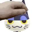 a person is petting a cat 's head with a blanket .