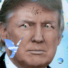 a close up of donald trump with a bird on his face