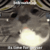 Its Time For Geyser Sky Cotl GIF - Its Time For Geyser Sky Cotl Cat Kiss GIFs