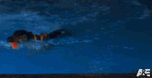 Swimming Crixus GIF