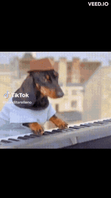 Dog Perro GIF - Dog Perro Piano GIFs