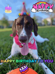 Happy Birthday Pet GIF - Happy Birthday Pet Dog GIFs