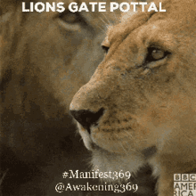 Awakening369 Lion Gates Portal GIF - Awakening369 Lion Gates Portal 88 GIFs